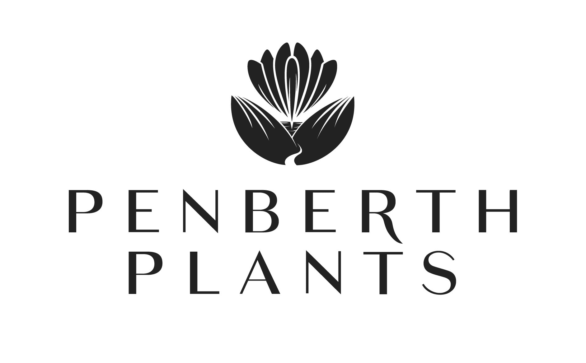 Penberth Plants, South African, Mediterranean and Australian plants